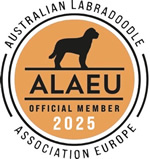 ALAEU Logo 2023 transparant