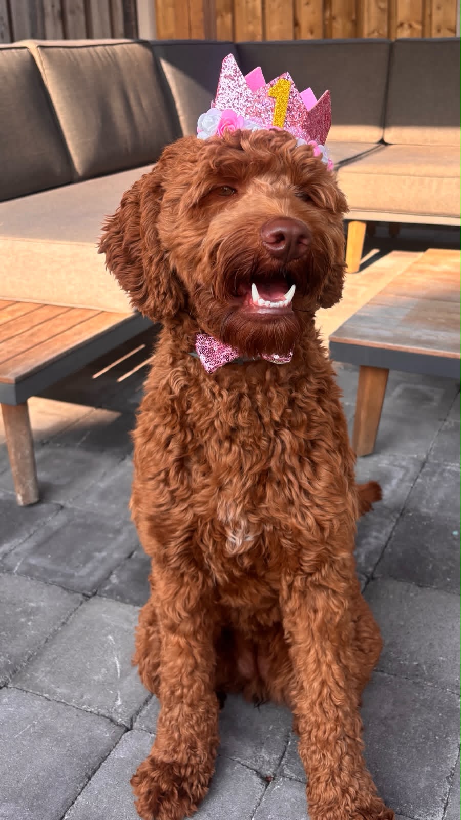 Roxy
